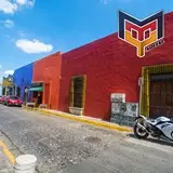 Cafe iguana en las calles de Barrio Antigüo en el centro de Monterrey, Nuevo León