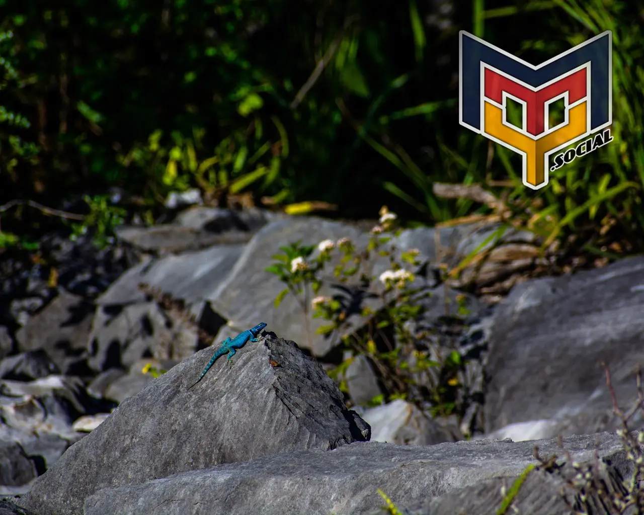 Camino al pico norte por homero - 24 de Noviembre del 2018 | Colecciones multimedia | Mty.social