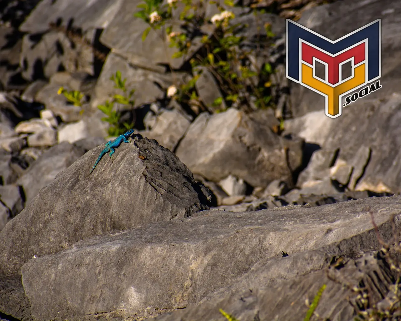Camino al pico norte por homero - 24 de Noviembre del 2018 | Colecciones multimedia | Mty.social