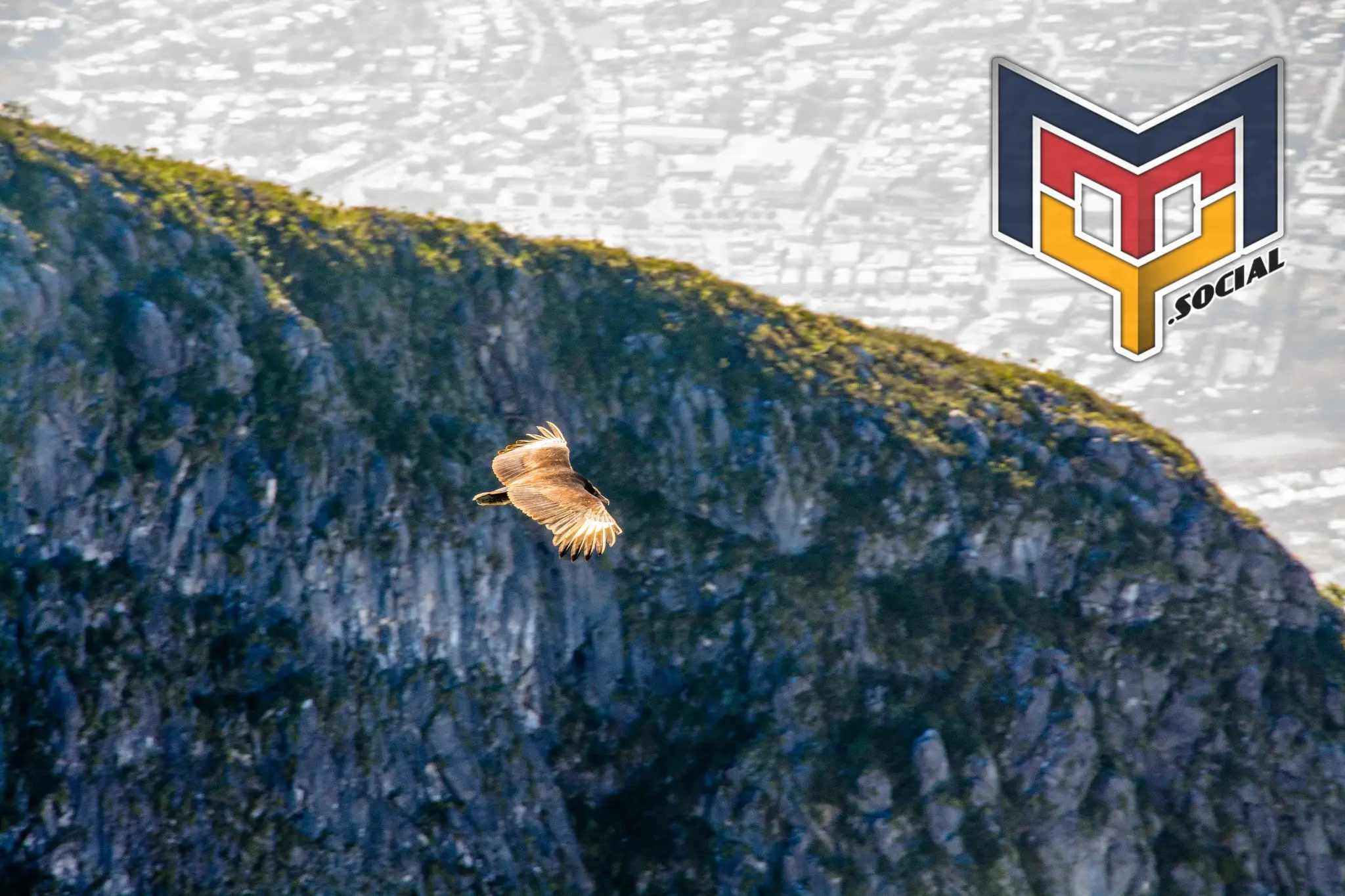 Cerro de la silla - 11 de Enero del 2015 | Colecciones multimedia | Mty.social