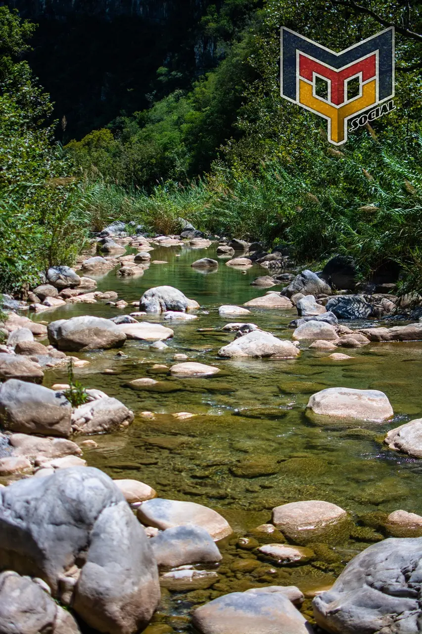 Río Ramos o Raíces en Monterrey - 23 de Septiembre del 2017 | Colecciones multimedia | Mty.social