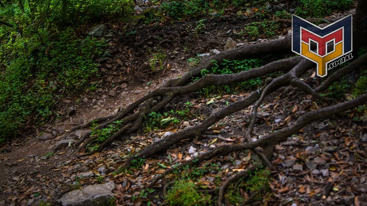 Cerro de mitras - 08 de Abril del 2018 | Colecciones multimedia | Mty.social