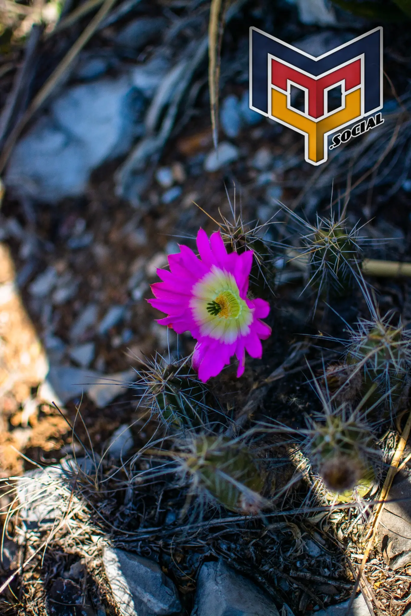 Cerro de mitras - Grutas en el cerro 19 de Marzo del 2018 | Colecciones multimedia | Mty.social